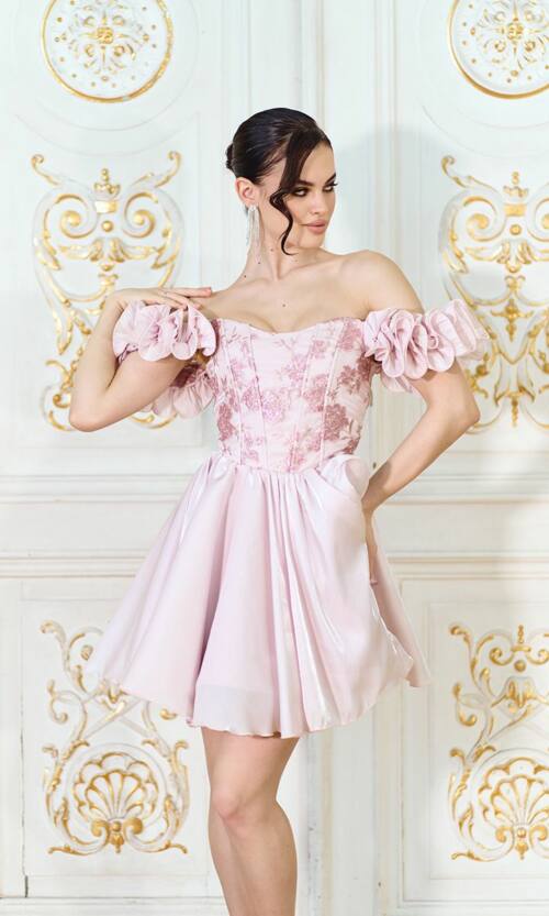 Корсетна міні сукня з вишивкою та відкритими плечима 26008 Пудрова